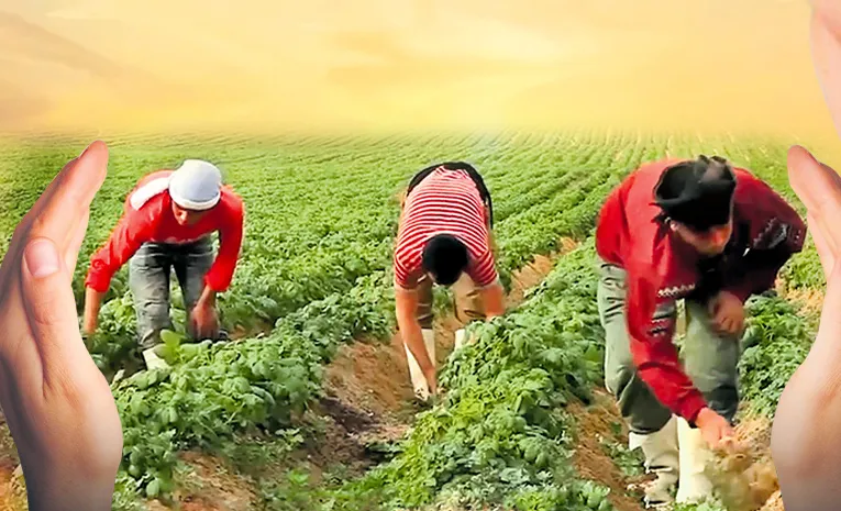 Sustainable Development SEKEM interesting story
