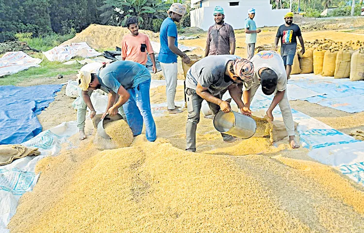 Grain purchases halted as target met