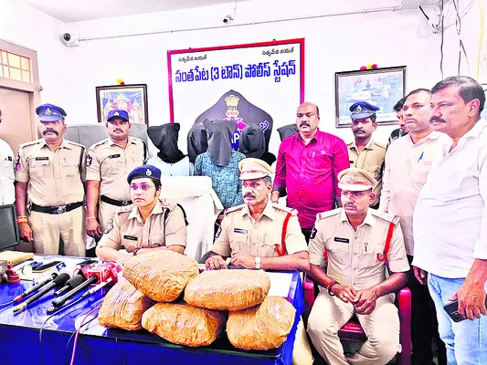 గంజాయి ముఠా అరెస్ట్‌