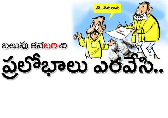 డైయిం