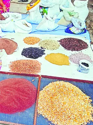 అగమ్యగోచరంగా ఐసీఆర్పీలు 