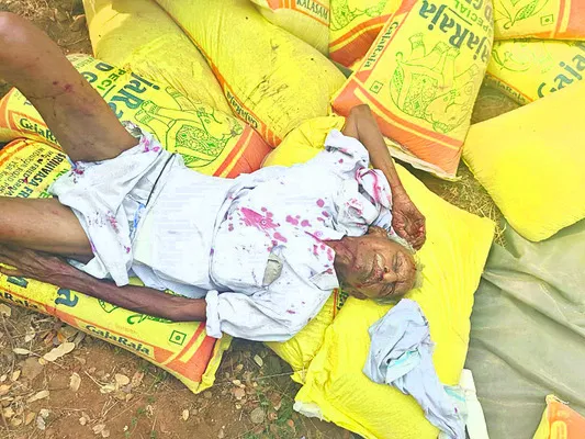 ఆర్టీసీ బస్సు, బొలేరో వాహనం ఢీ