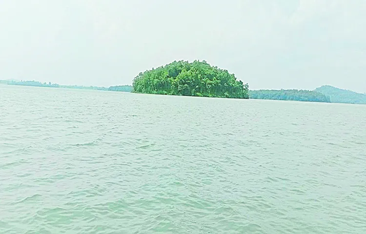 Kinnerasani is wonderful place to spend during summer vacations