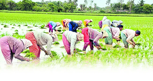 ఆరుతడ