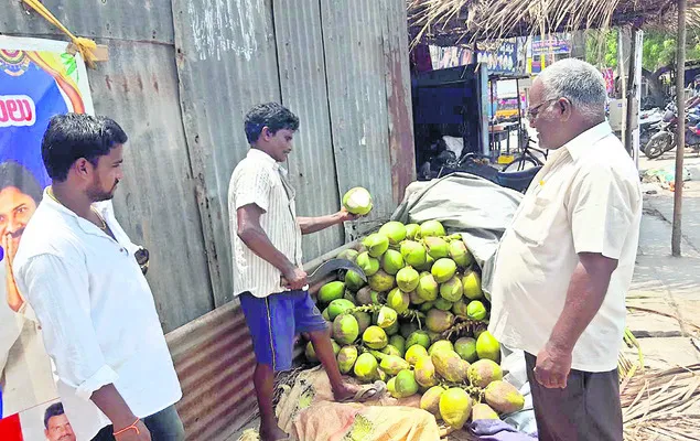 కొబ్బరి బొండాలకు గిరాకీ 