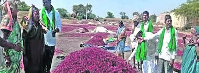 మిర్చ