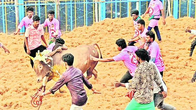 కోవైలో రంకెలేసిన వీరత్వం