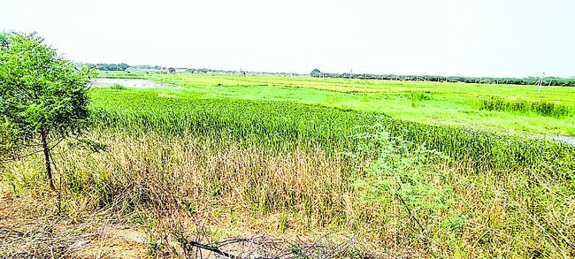 ఉగ్రవ