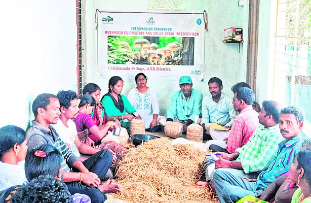 పుట్టగొడుగుల పెంపకంతో గిరిజన యువతకు ఉపాధి
