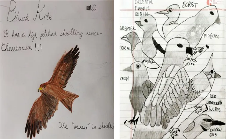 Young Birders Workshop 2025 for youngsters 11 May - 8 June