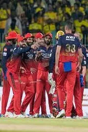 IPL 2025: RCB Registered 7 Wins In 7 Different Venues This Season9