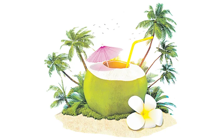 Demand for coconuts increases with summer temperatures