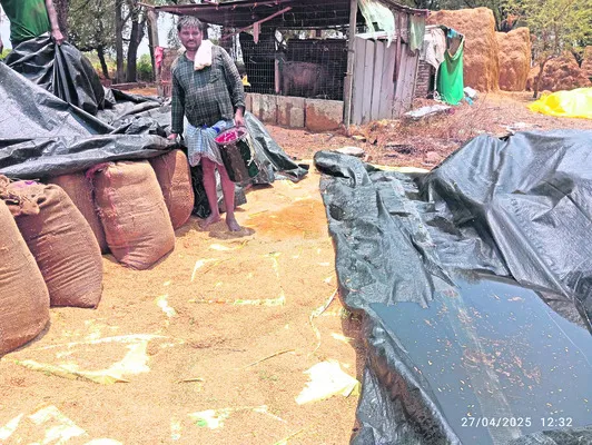 ఉరిమిన వర్షం.. పిడుగులా నష్టం
