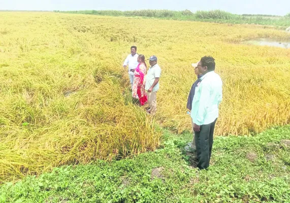 ముంపు
