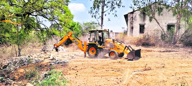 బసిని