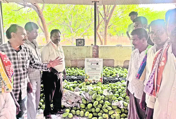 ప్రకృతి సిద్ధంగా మాగబెట్టాలి 