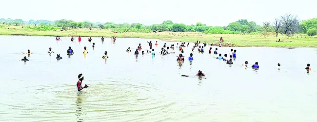 ఎండకు