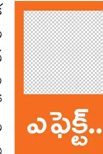 రెడ్డప్పశెట్టి ‘పాలీహౌస్ సబ్సిడీ’పై విచారణ