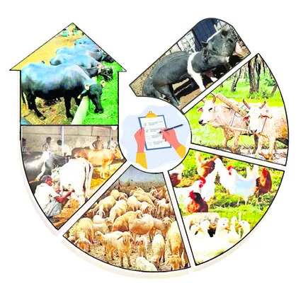 ముగిసిన పశుగణన