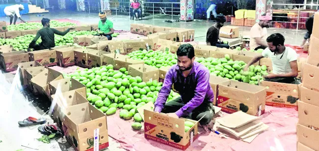 మామిడి రైతుకు.. మార్కెట్‌ కష్టాలు