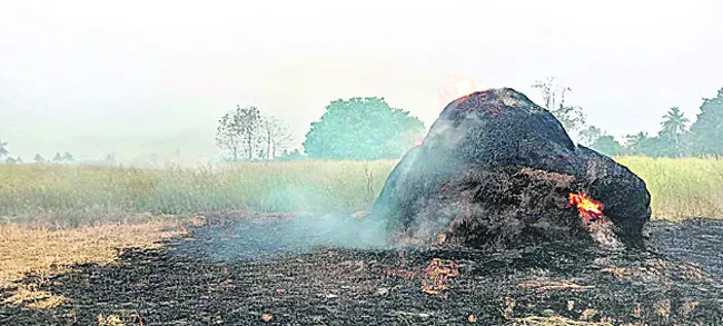 గడ్డి కుప్ప దగ్ధం 