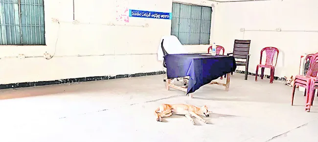 ఎంపీడీఓ చాంబర్‌లో  కునుకు తీసిన కుక్క
