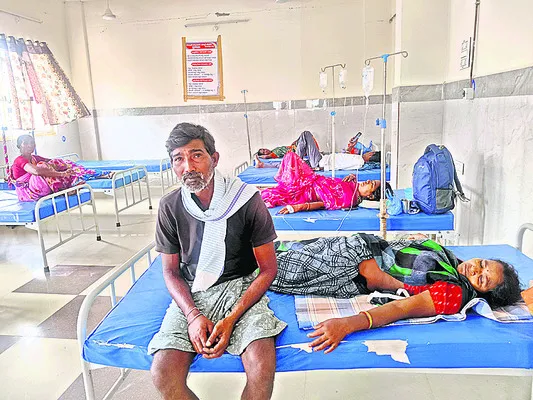 ఉపాధి కూలీలపై తేనెటీగల దాడి