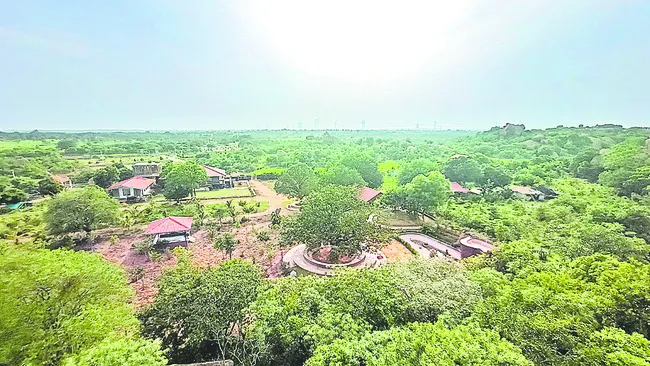 సిద్ధ