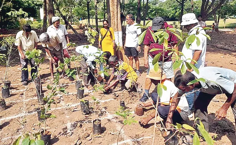 Miyawaki technique  2000 plants planted in mumbai