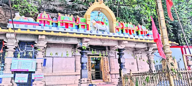 ‘ఉమామ