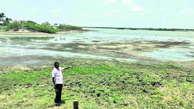 పక్షుల కేంద్రం చెరువులో నీటిని నింపాలి