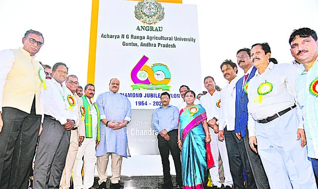 ఎన్జీ రంగా అగ్రి వర్సిటీ వజ్రోత్సవాలు ప్రారంభం 
