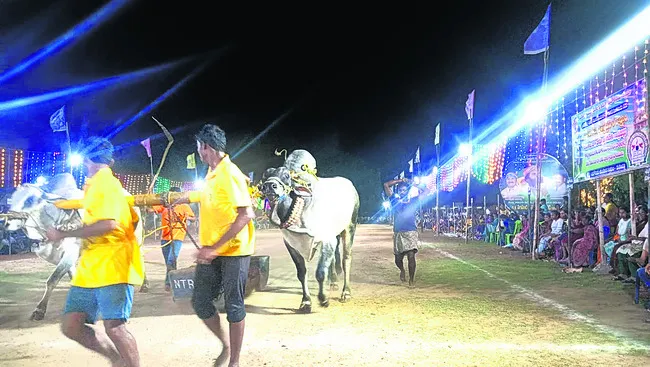విజేత.. బాపట్ల జిల్లా గిత్తలు