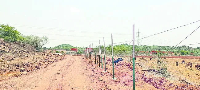 ఫ్యూచ