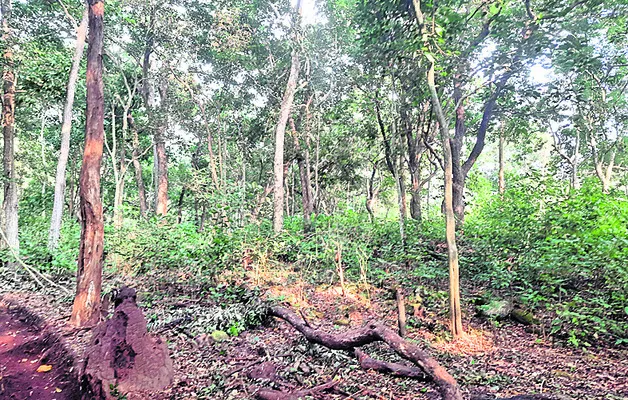 యుద్ధవాతావరణం