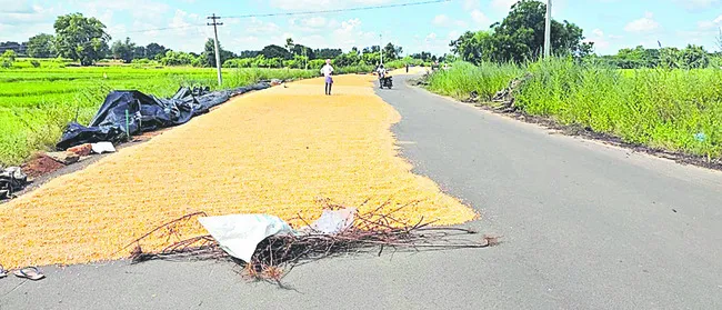 రోడ్ల