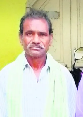ట్రావెల్స్ బస్సు ఢీకొని గేదెలు మృతి