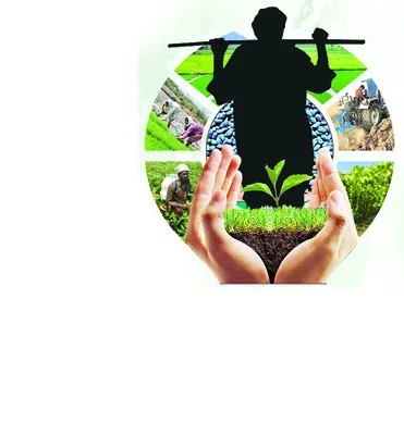 సాగు ప్రణాళిక ఖరారు