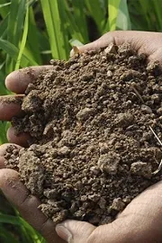 natural farming Bio input Resource Centers guidelines by Centre 1