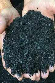 ICAR-CIAE In Bhopal Developed A Biochar Small Unit1