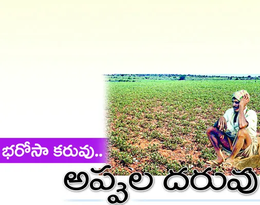 అన్నద