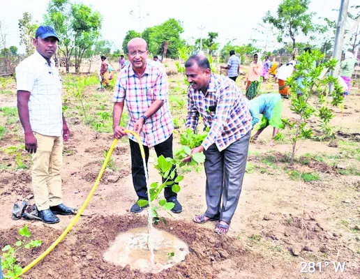 త్వరలో ‘కార్బన్‌ క్రెడిట్‌ సర్వే’ 