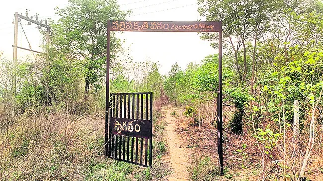 ఆలనాపాలనా లేక అధ్వానం 