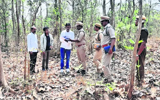 టేకు ప్లాంటేషన్‌ సంరక్షణకు ప్రాధాన్యమివ్వండి 