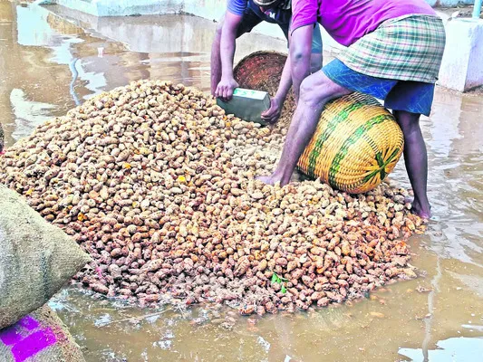 అకాల 