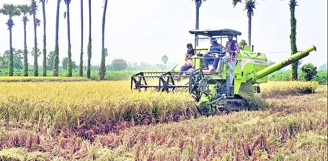 వ్యాపారులకే ధాన్యం