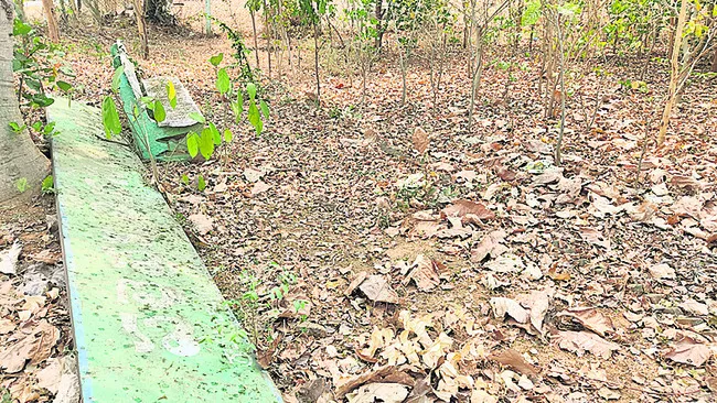 అంతా.. చెత్తాచెదారం