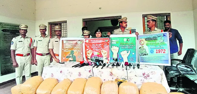 396 కేజీల గంజాయి పట్టివేత