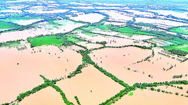 శుక్రవారం శ్రీ 4 శ్రీ ఏప్రిల్‌ శ్రీ 2025