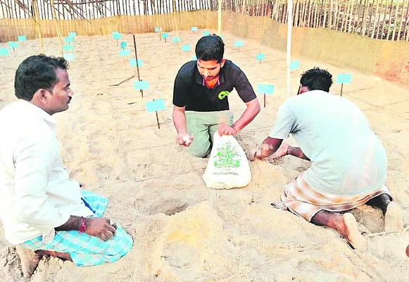 సంరక్షణ కేంద్రాలున్న ప్రాంతాలు..